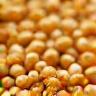 A close-up of small, golden einkorn kernels.